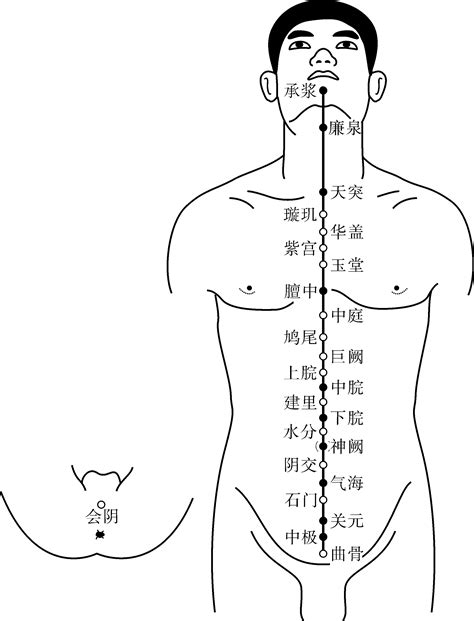 奇经八脉图图片