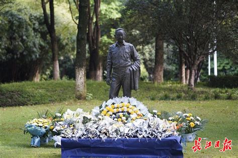袁隆平逝世 母校西南大学师生在其雕像前献花寄哀思