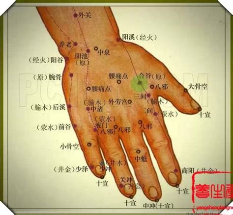 商阳的准确位置图图片 商阳的准确位置图图片
