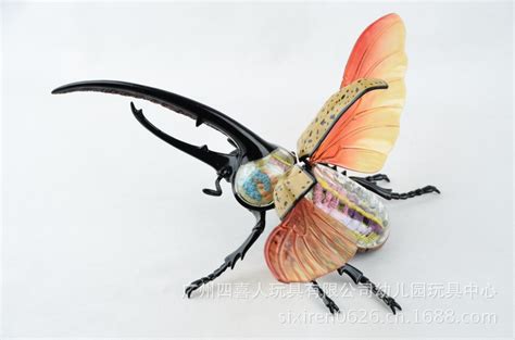 4D MASTER 批发 独角仙甲虫标本解剖模型HA26108-阿里巴巴
