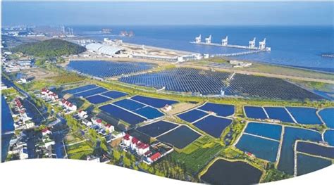 利用就地再生基层技术 平湖独山港为美镇建设增添一抹绿色——浙江在线