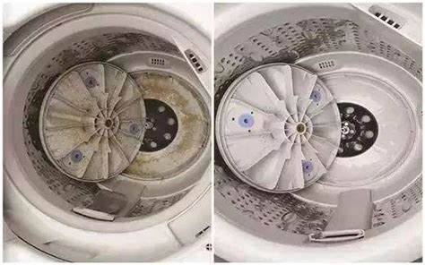 波轮洗衣机组件构造讲解小绿人家电清洗_凤凰网视频_凤凰网