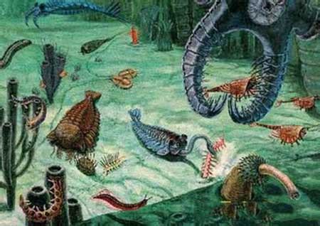 三十五亿年的故事，生命进化的历程|LUCA|泉区|生命_新浪新闻