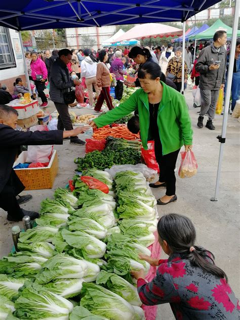 路边水果摊位摆放图片,3米水果摊位摆放图片,路边水果摊图片(第10页)_大山谷图库