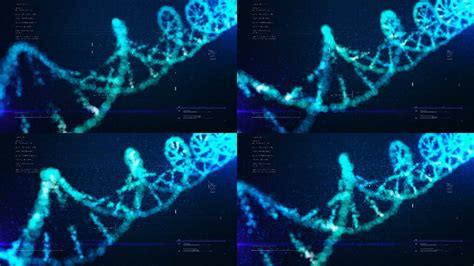 DNA人体遗传图片图片免费下载_PNG素材_编号1yqi9ggyz_图精灵