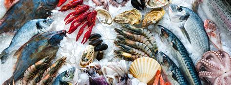 生鲜电商是如何改变中国海鲜零售模式的？_第18届上海国际渔业博览会