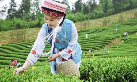 2019年谷雨出生的人好吗？谷雨出生的孩子什么命？_华易算命网