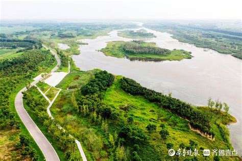 深壹点丨黄河水乡齐河聚力生态保护和高质量发展|工程|生态保护_新浪新闻