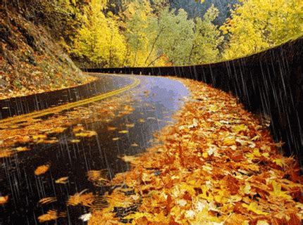 秋雨(风景手机静态壁纸) - 风景手机壁纸下载 - 元气壁纸