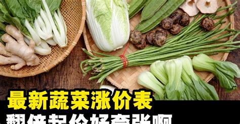 最新蔬菜涨价表 – Penang Holiao
