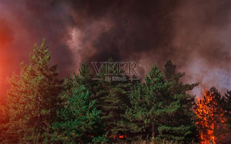 火。山火日落，松林中燃烧着烟雾和火焰。照片摄影图片_ID:411762523-Veer图库