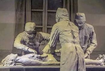 731部队用跳蚤感染鼠疫后咬人 的图像结果