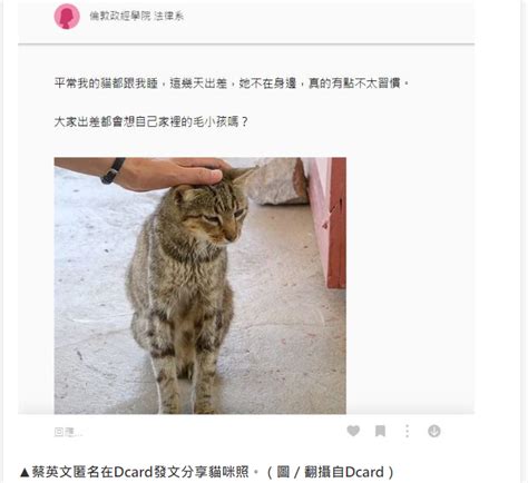 蔡英文出访"开小差"匿名偷晒撸猫照 台网友批:想东想西
