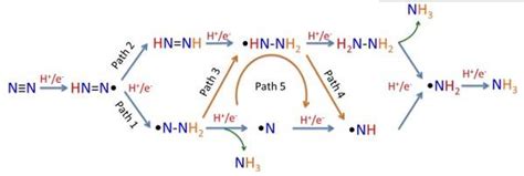 NH3经一系列反应可以得到HNO3，如下图所示。（1）I中，NH3和O2在催化剂作用下反应，其化学方程式是 ...