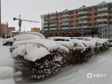 内蒙古呼伦贝尔遭遇大暴雪 最大积雪深度达24厘米-天气图集-中国天气网