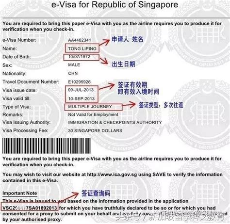 新加坡签证照片要求要多大的