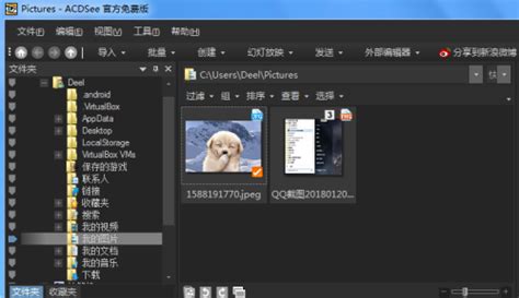 acdsee中文版下载-acdsee中文免费版下载v10.0 官方版-旋风软件园