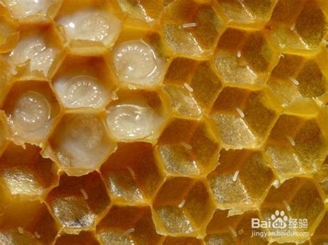 蜂房的食用方法-百度经验