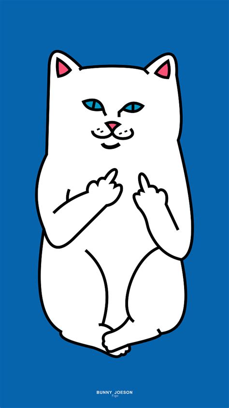贱猫图片