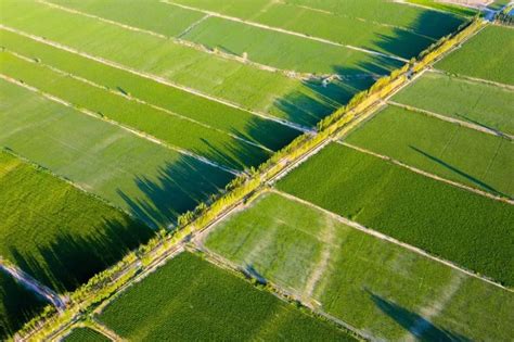 互联网+土地认养：开拓“共享农业”新版图—认养农业的三个标准 - 知乎