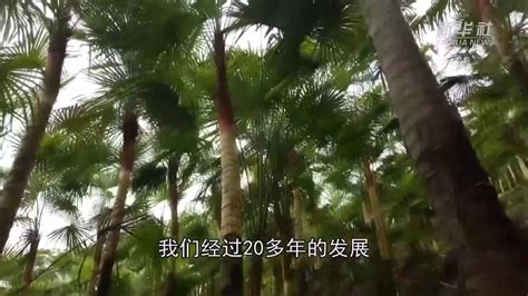 黄河生态走廊的“致富经”_凤凰网视频_凤凰网