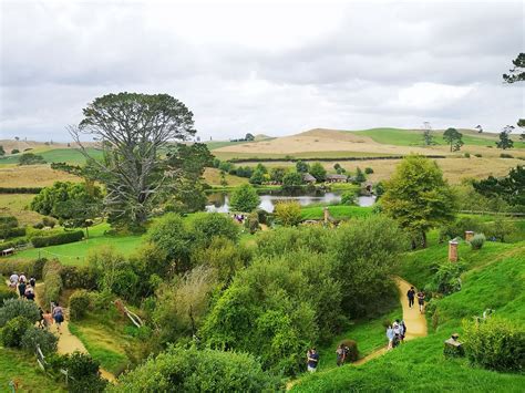 新西兰玛塔玛塔小镇的霍比屯是电影《霍比特人》《指环王》的取景地|玛塔玛塔|霍比屯|霍比特人_新浪新闻