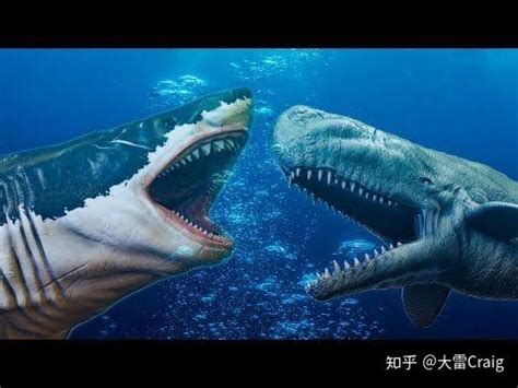 巨齿鲨vs沧龙！史上最强咬合力的巨齿鲨，能将沧龙轻松拿下吗？
