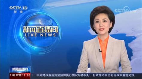 CCTV13《新闻直播间》-余总采访