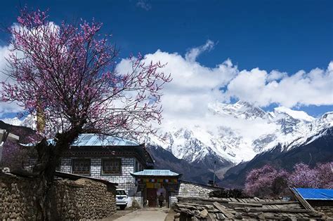 西藏林芝地区林芝县鲁朗镇扎西岗村 - 中国国家地理最美观景拍摄点
