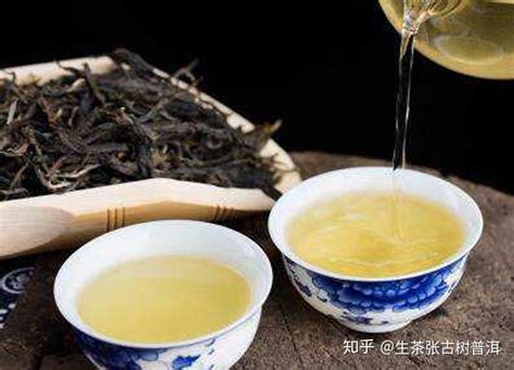 【51节品茶-巴南银针泡临沧】-茶语网,当代茶文化推广者