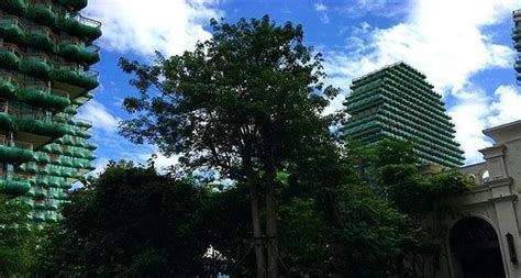 航拍三亚“9棵大树”建筑群 恢弘震撼如“城市森林” _深圳新闻网