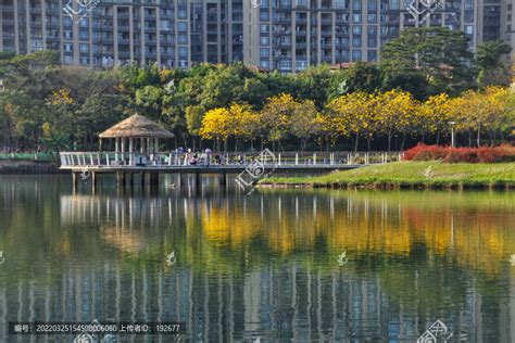 金山湖公园,花卉,植物花草,摄影素材,汇图网www.huitu.com