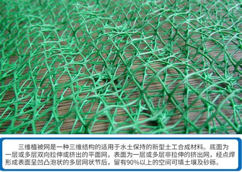 公路护坡山东护坡土工网垫三维植被网厂家直销张掖|价格|厂家|多少钱-全球塑胶网