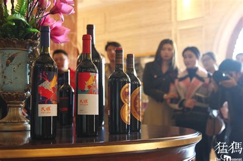 致力于酿造黄河古道民权风味葡萄酒的企业——帝森|帝森|民权|葡萄酒_新浪新闻
