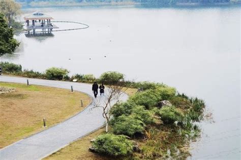 2023北湖公园游玩攻略,这一次来到郴州却发现了北湖...【去哪儿攻略】
