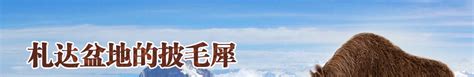 3月底4月初，西藏博物馆馆藏精品文物拟易地展出！_荔枝网新闻