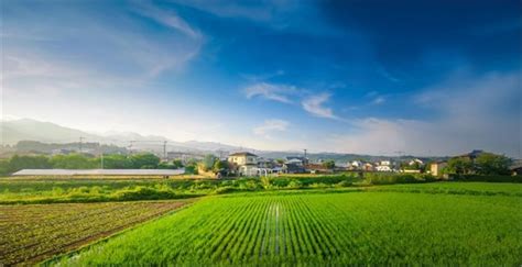 值得借鉴的日本六大都市农业类型_现代农业产业规划 - 前瞻产业研究院