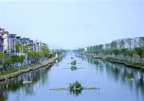 党建引领 杭州临江街道共绘发展“三色园”——浙江在线