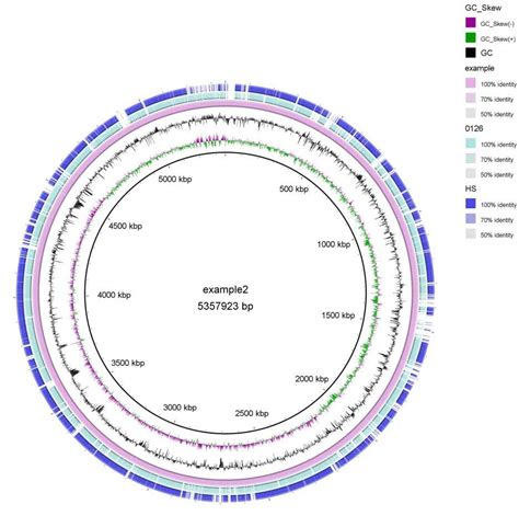计算机描绘的基因结构图,利用IBS软件画基因mRNA的结构图-CSDN博客