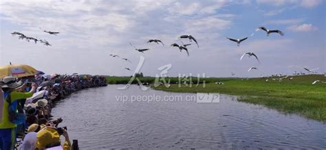 黑龙江齐齐哈尔：扎龙自然保护区湿地-人民图片网