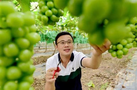 陕西将实施新型职业农民培育工程|返乡|农民工返乡|现代农业_新浪新闻