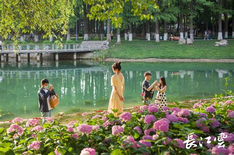 北京旭辉·城建·首开 公园都会 | HZS滙张思 - 景观网