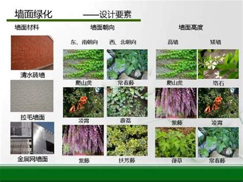 「图解」立体绿化的营造方式--墙面绿化-新闻中心-长景园林网