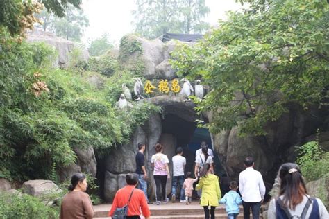 武汉动物园推荐