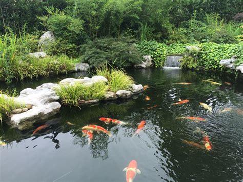 花园水池|水池|花园_新浪新闻