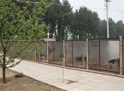 史上最详细的犬舍设计要点 - 卡斯罗 - 猛犬俱乐部-中国具有影响力的猛犬网站 - Powered by Discuz!