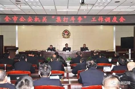 岳阳市公安局召开全市公安机关“集打斗争”工作调度会