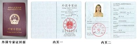 外国企业常驻代表机构登记证-荣誉证书-德国新帕泰克有限公司