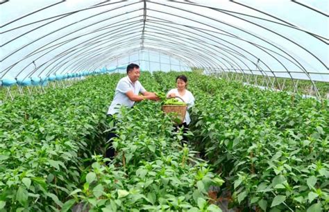 我市三家家庭农场获评陕西省“最美示范家庭农场”称号_汉中市农业农村局
