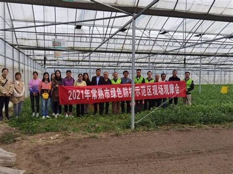 市植保植检站召开绿色防控示范区现场观摩会 - 常熟市人民政府